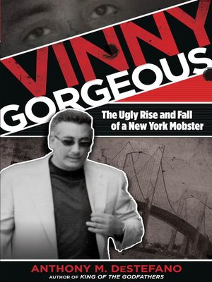 cover image of Vinny Gorgeous